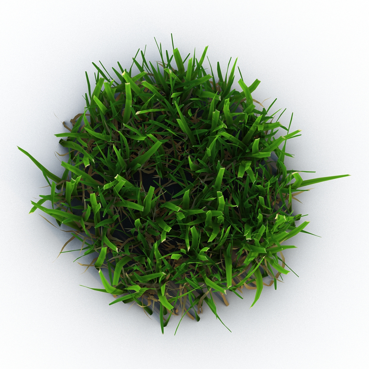 Grass 5 3D model