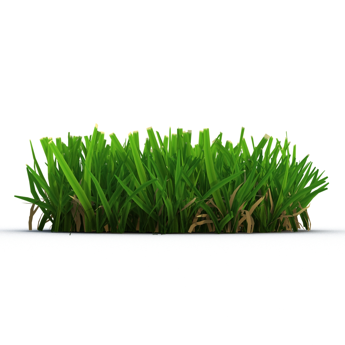 Grass 5 3D model