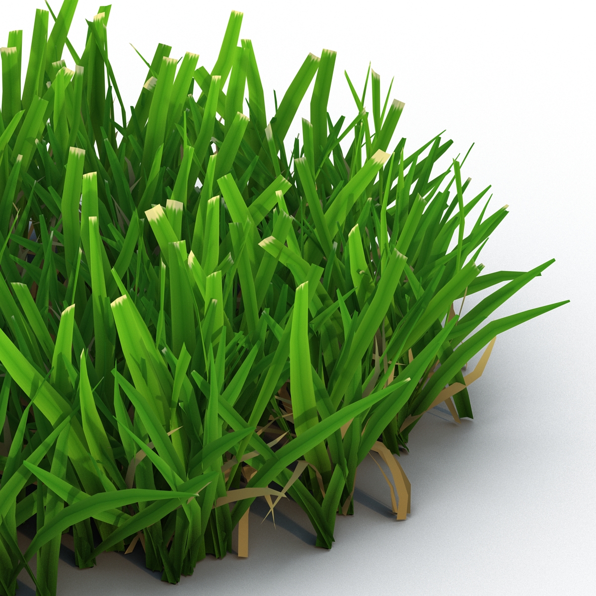 Grass 5 3D model