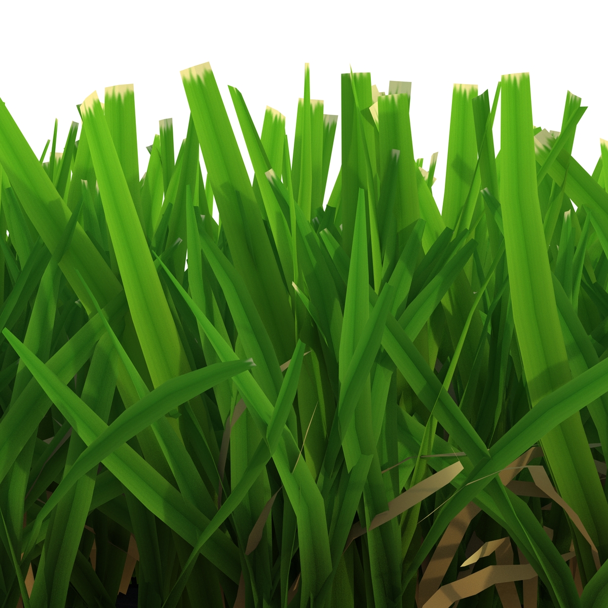 Grass 5 3D model