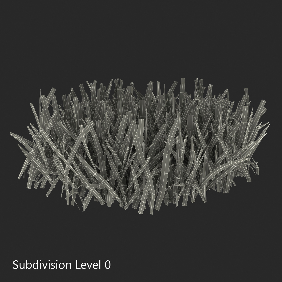 Grass 5 3D model