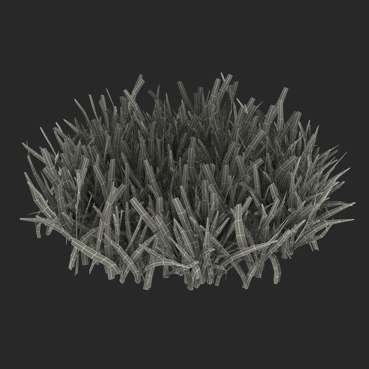 Grass 5 3D model