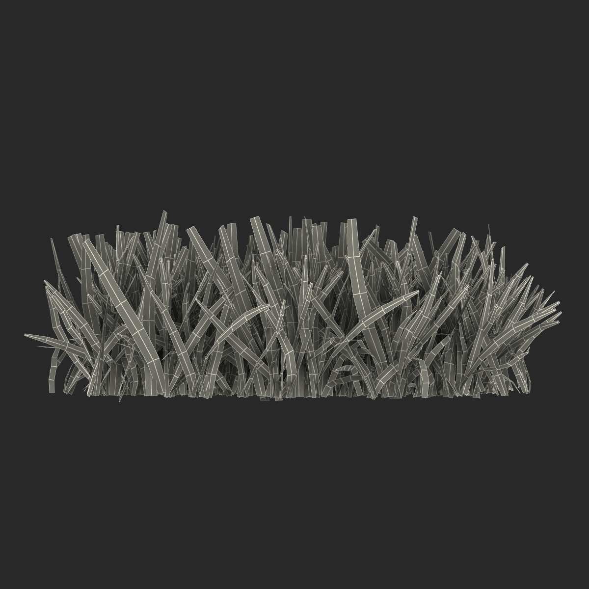 Grass 5 3D model