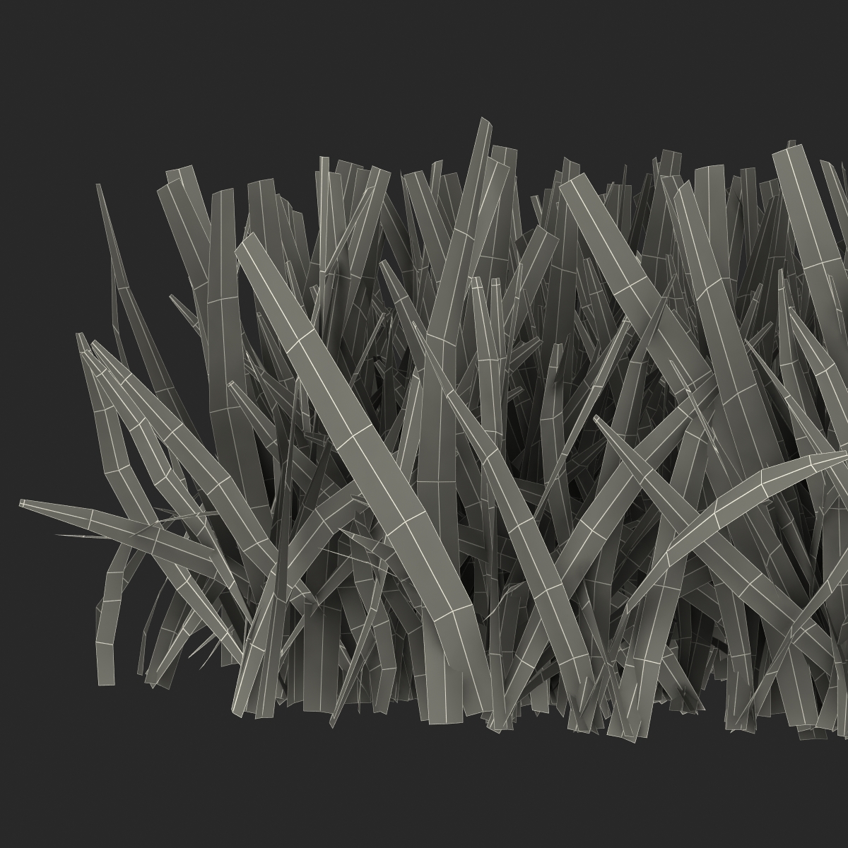 Grass 5 3D model