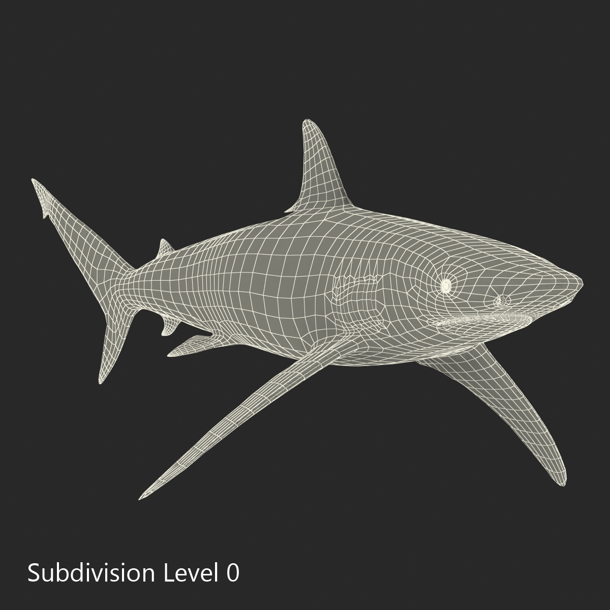 3D model Spinner Shark Rigged