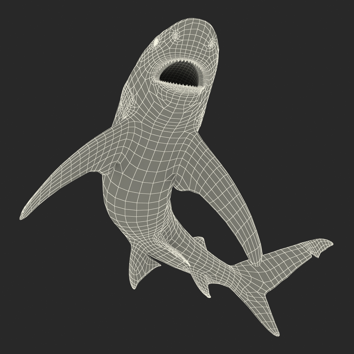 Oceanic Whitetip Shark Pose 2 3D model