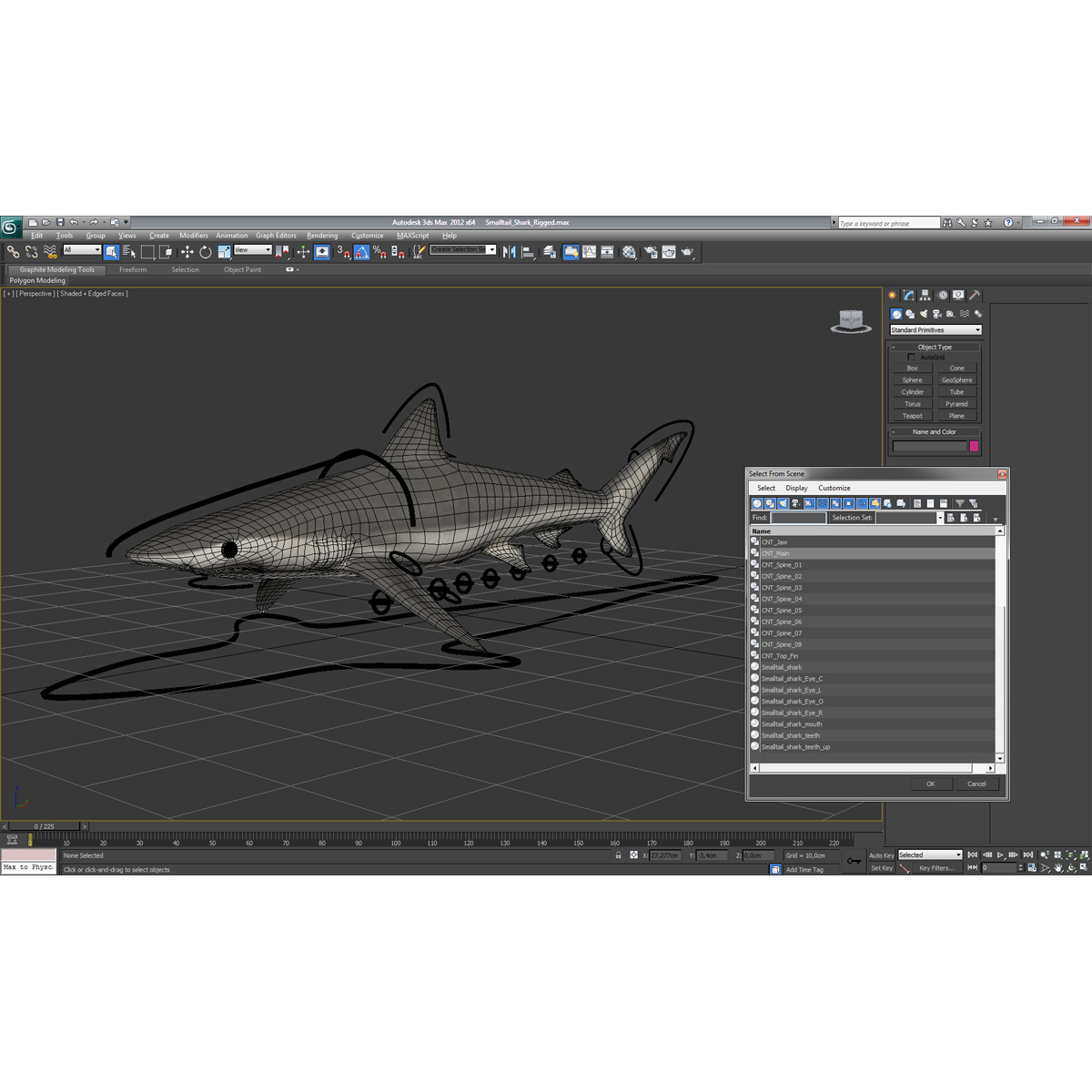 Smalltail Shark Rigged 3D