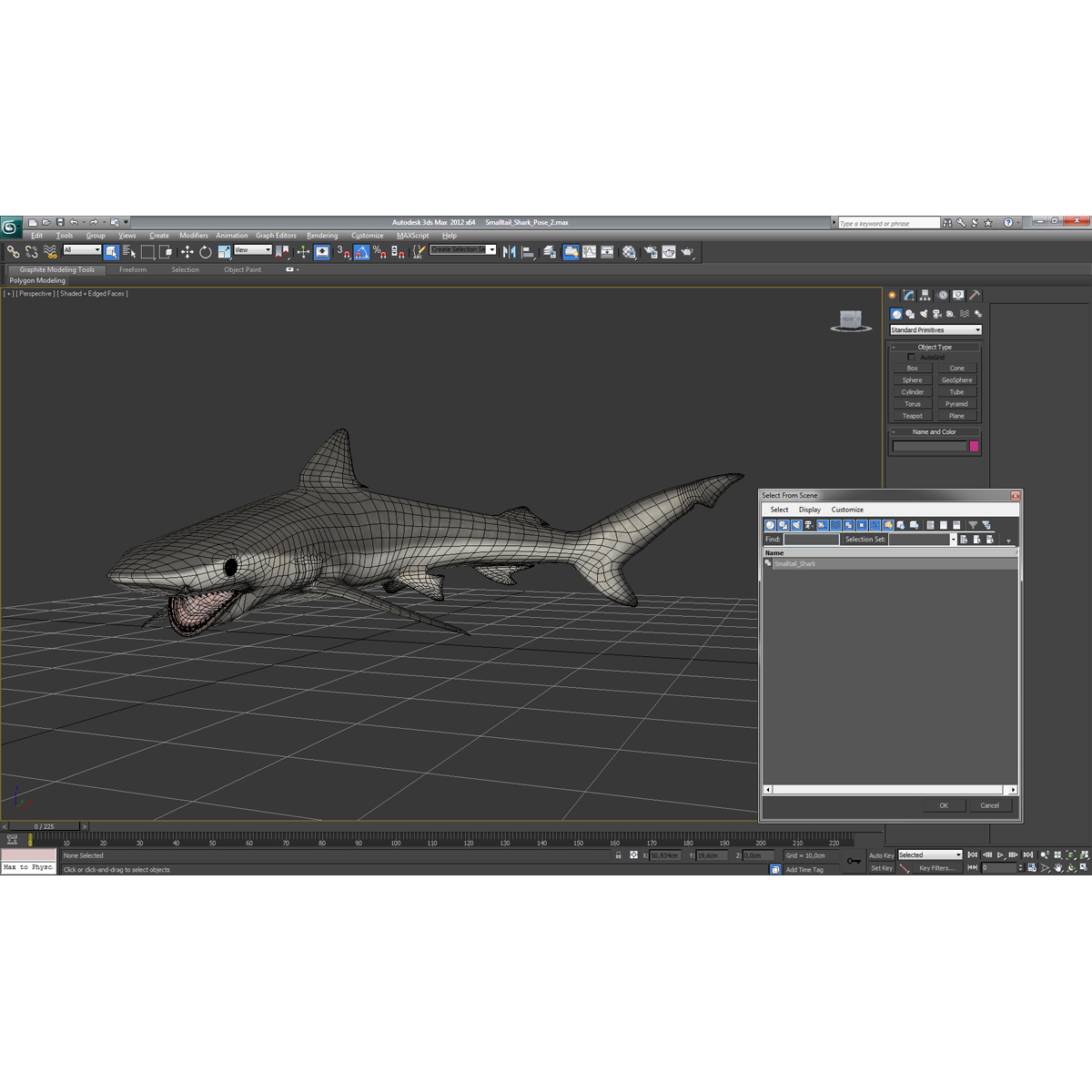 Smalltail Shark Pose 2 3D