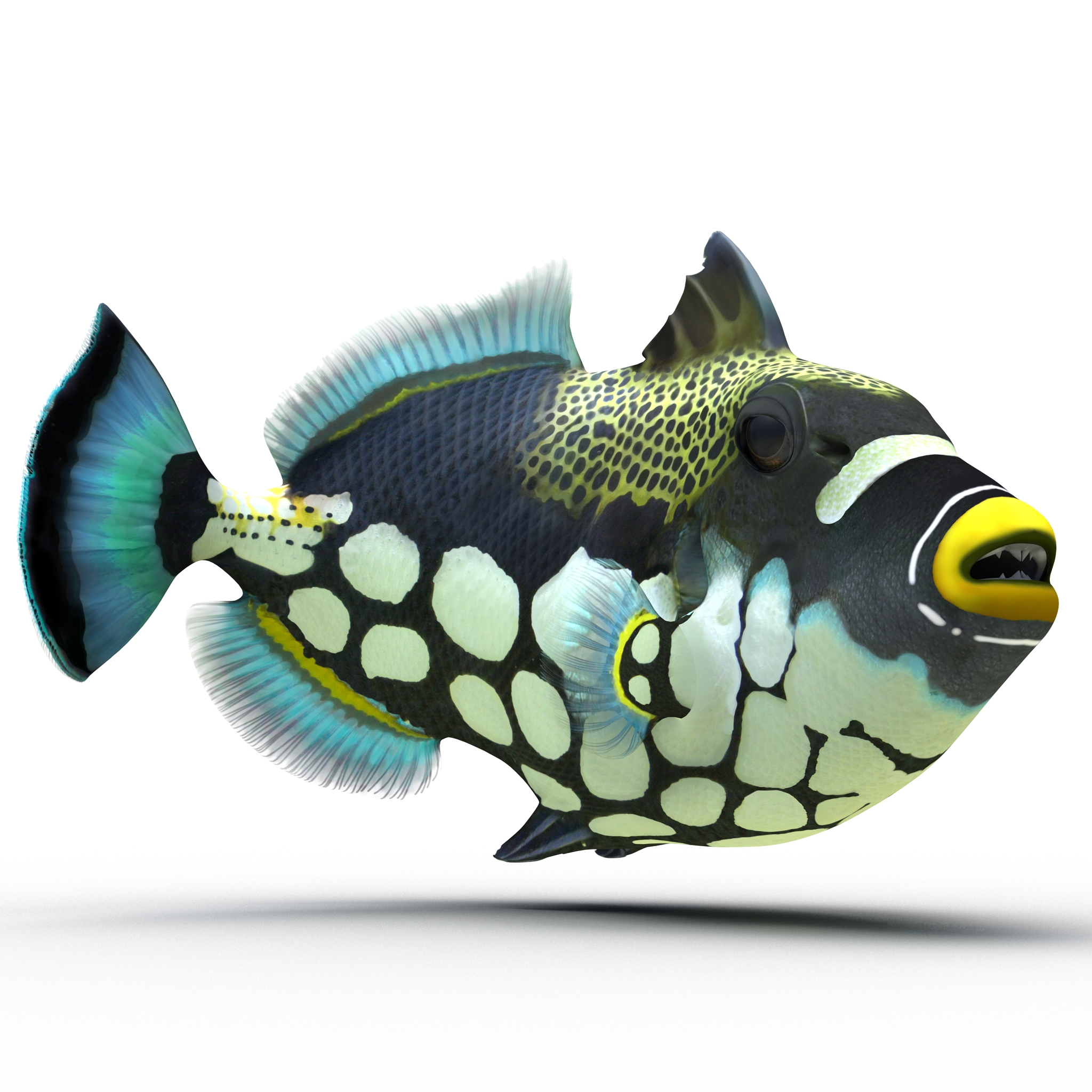 3D model Clown Trigger Fish Rigged