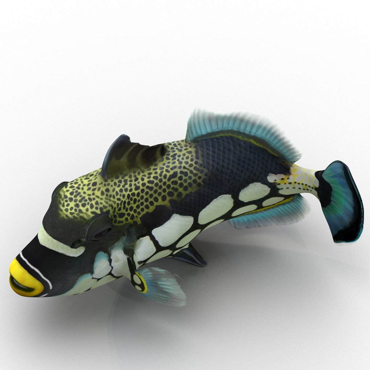 3D model Clown Trigger Fish Rigged