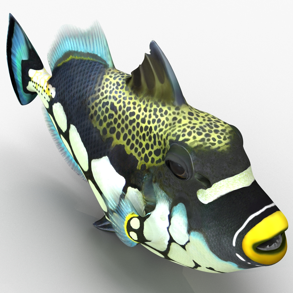 3D model Clown Trigger Fish Rigged