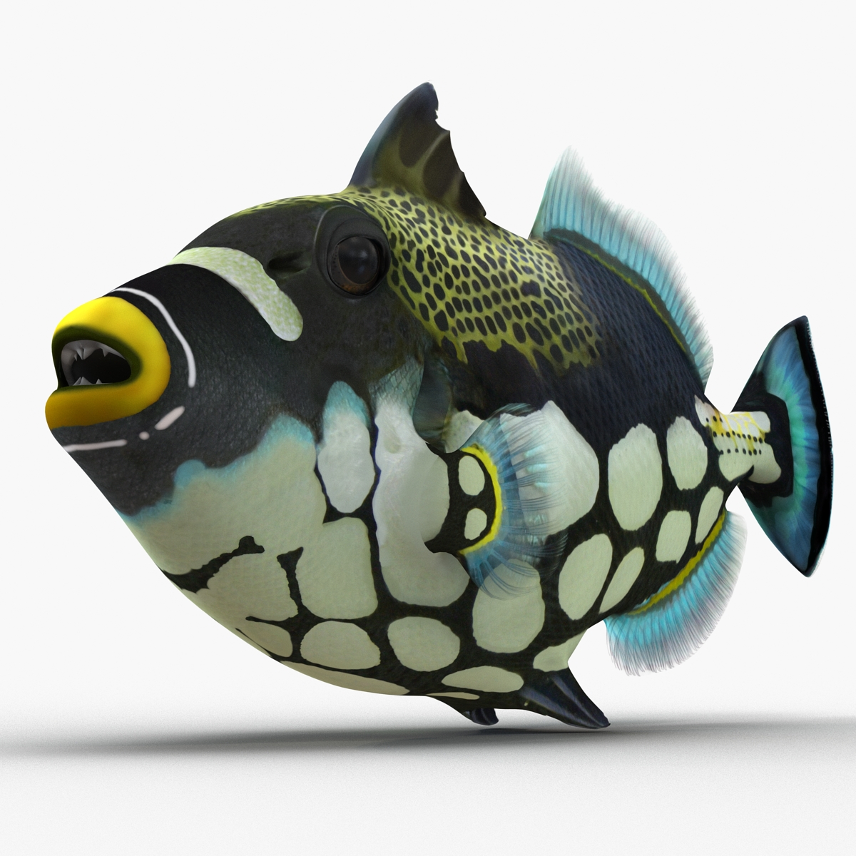 3D model Clown Trigger Fish Rigged