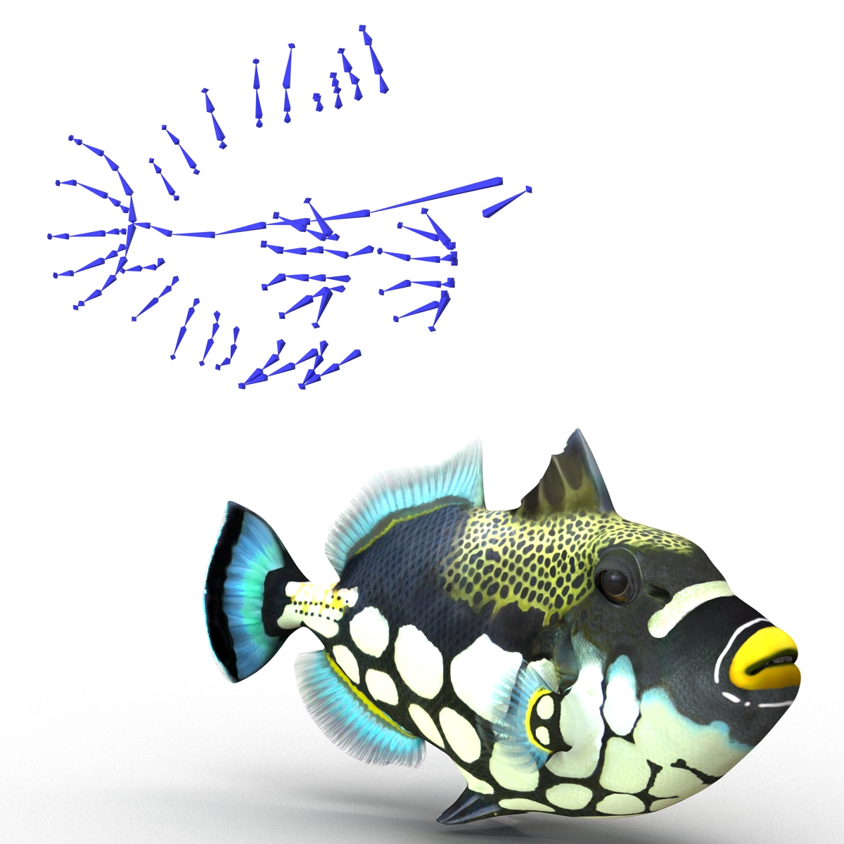 3D model Clown Trigger Fish Rigged