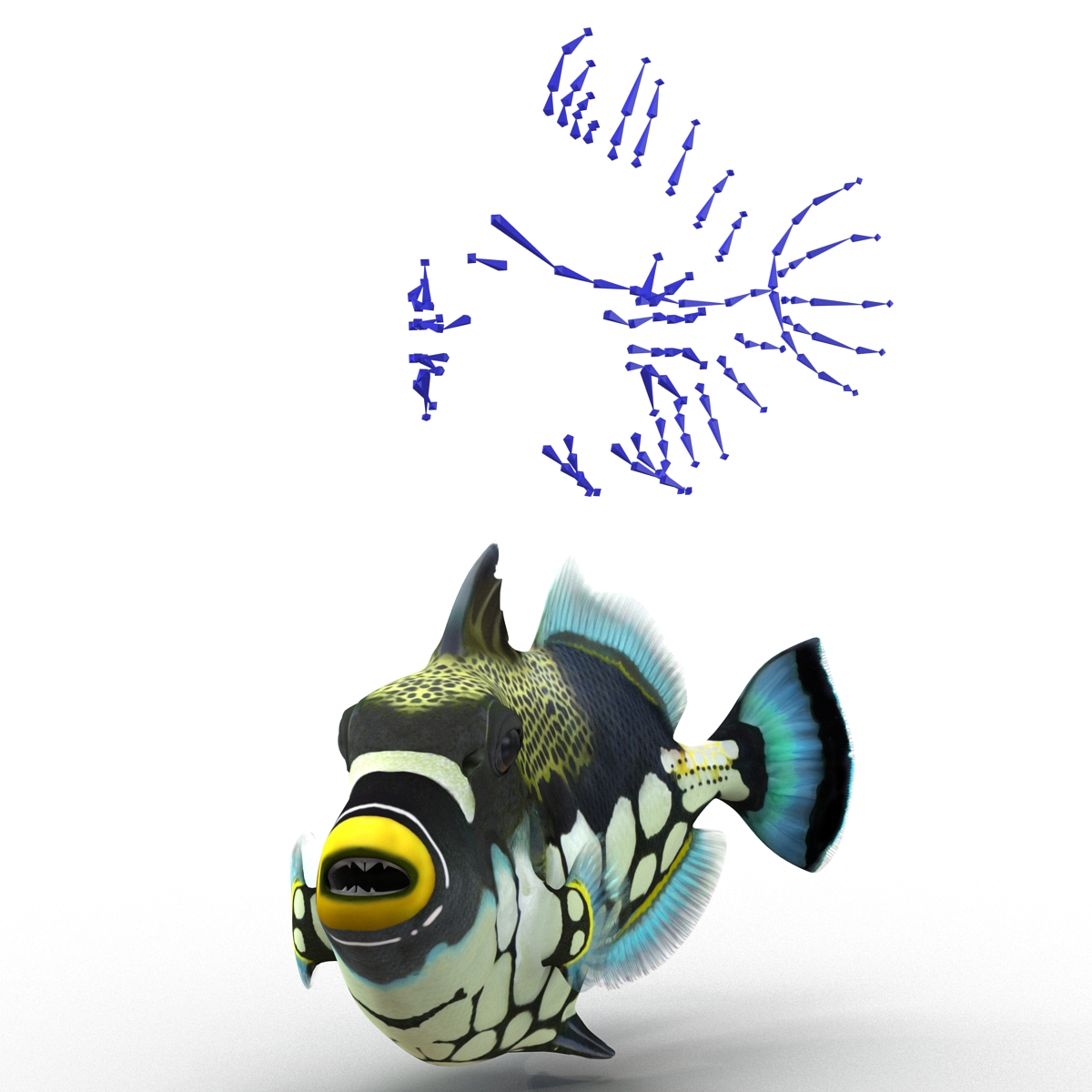 3D model Clown Trigger Fish Rigged