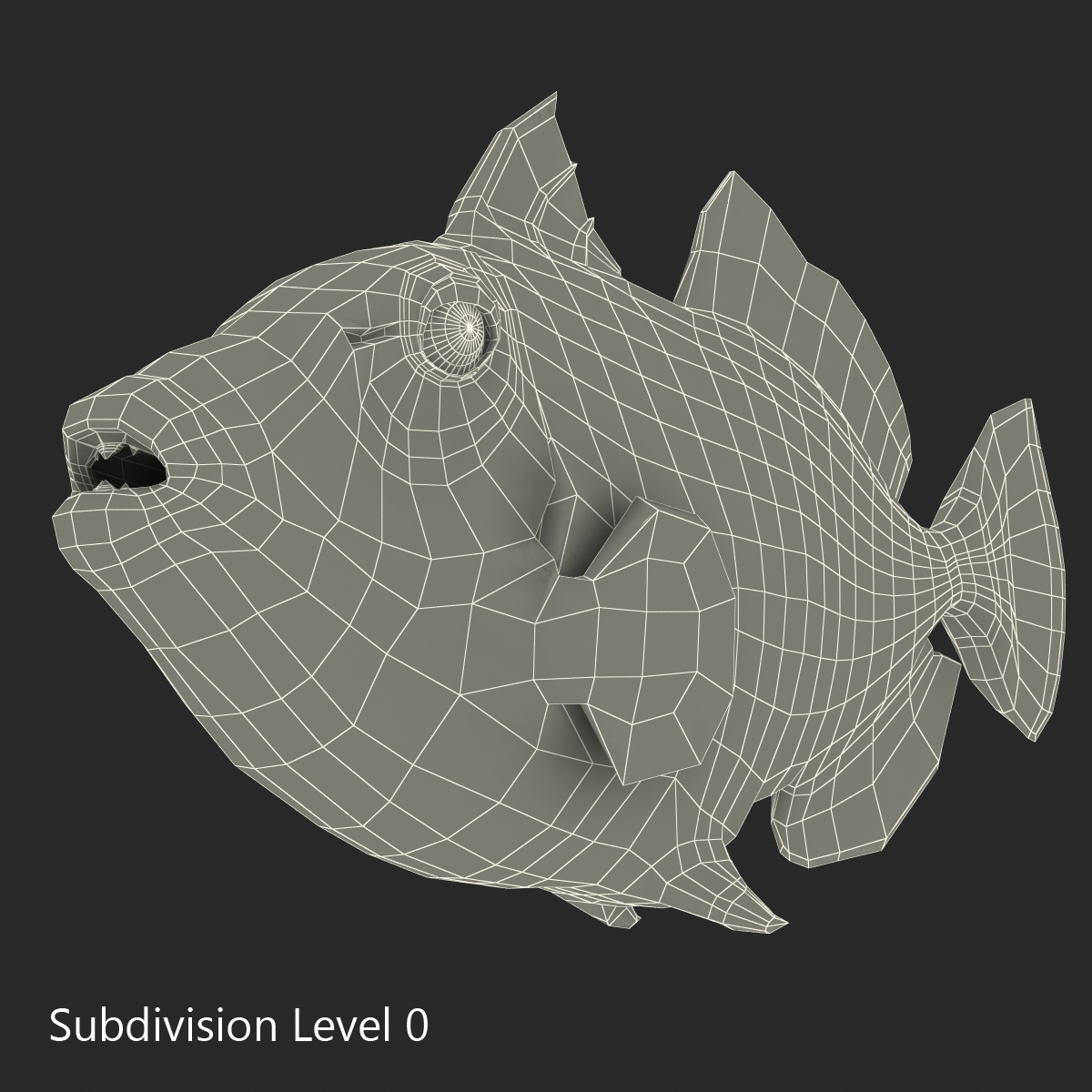 3D model Clown Trigger Fish Rigged