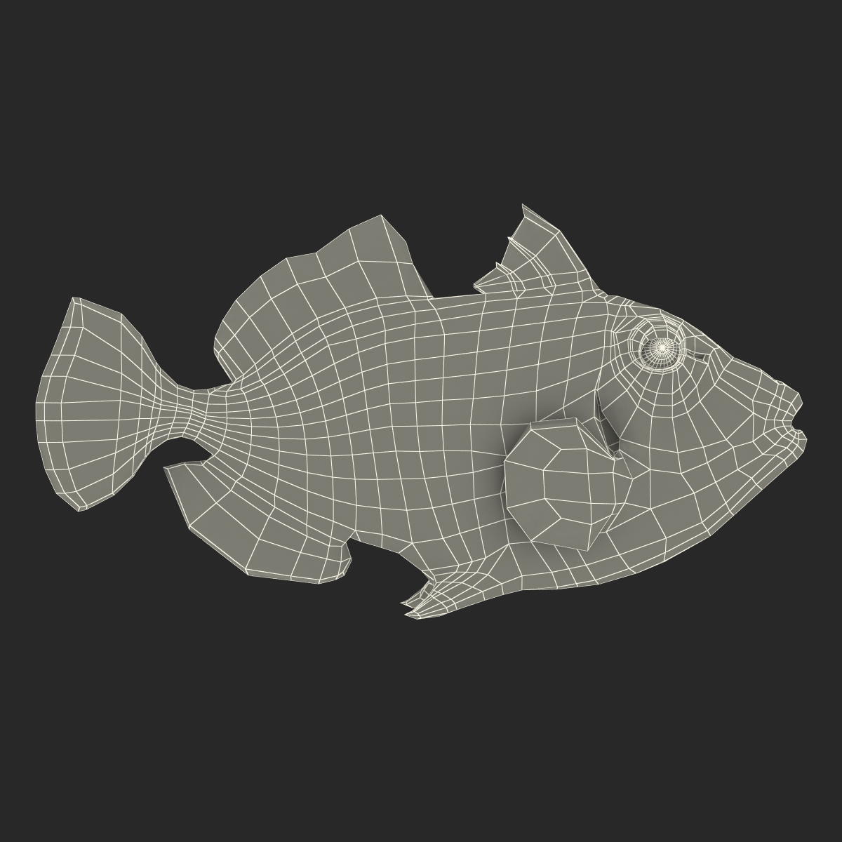 3D model Clown Trigger Fish Rigged