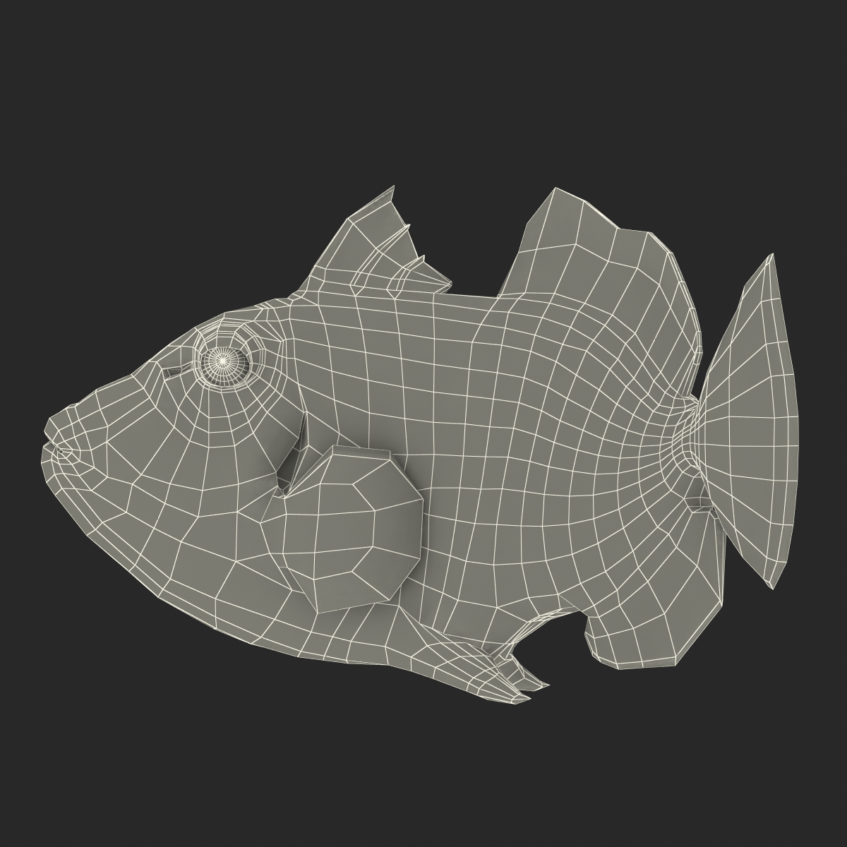 3D model Clown Trigger Fish Rigged