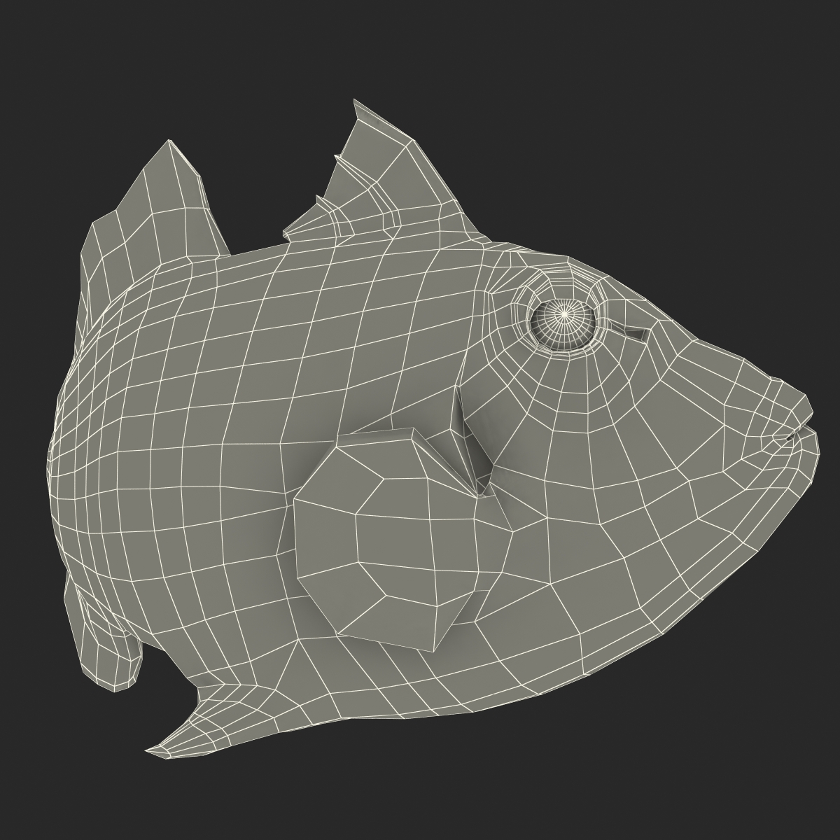 3D model Clown Trigger Fish Rigged