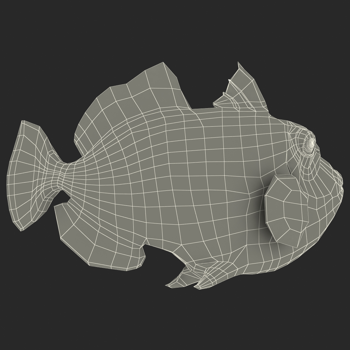 3D model Clown Trigger Fish Rigged