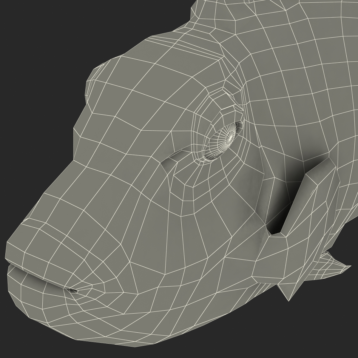 3D model Clown Trigger Fish Rigged