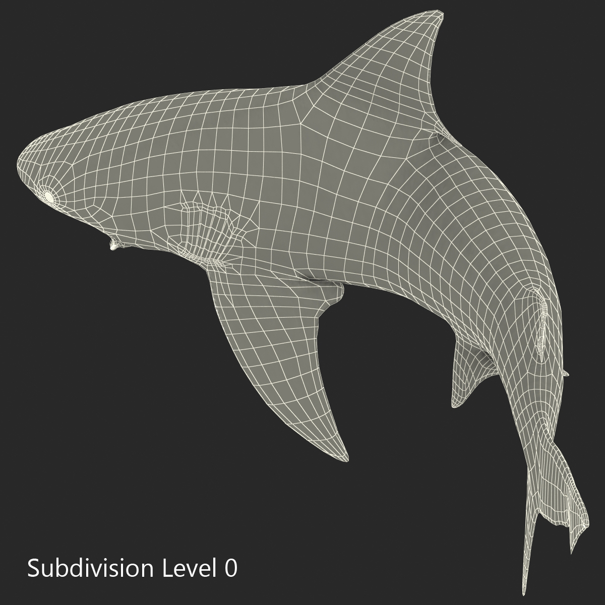 Bull Shark Pose 2 3D