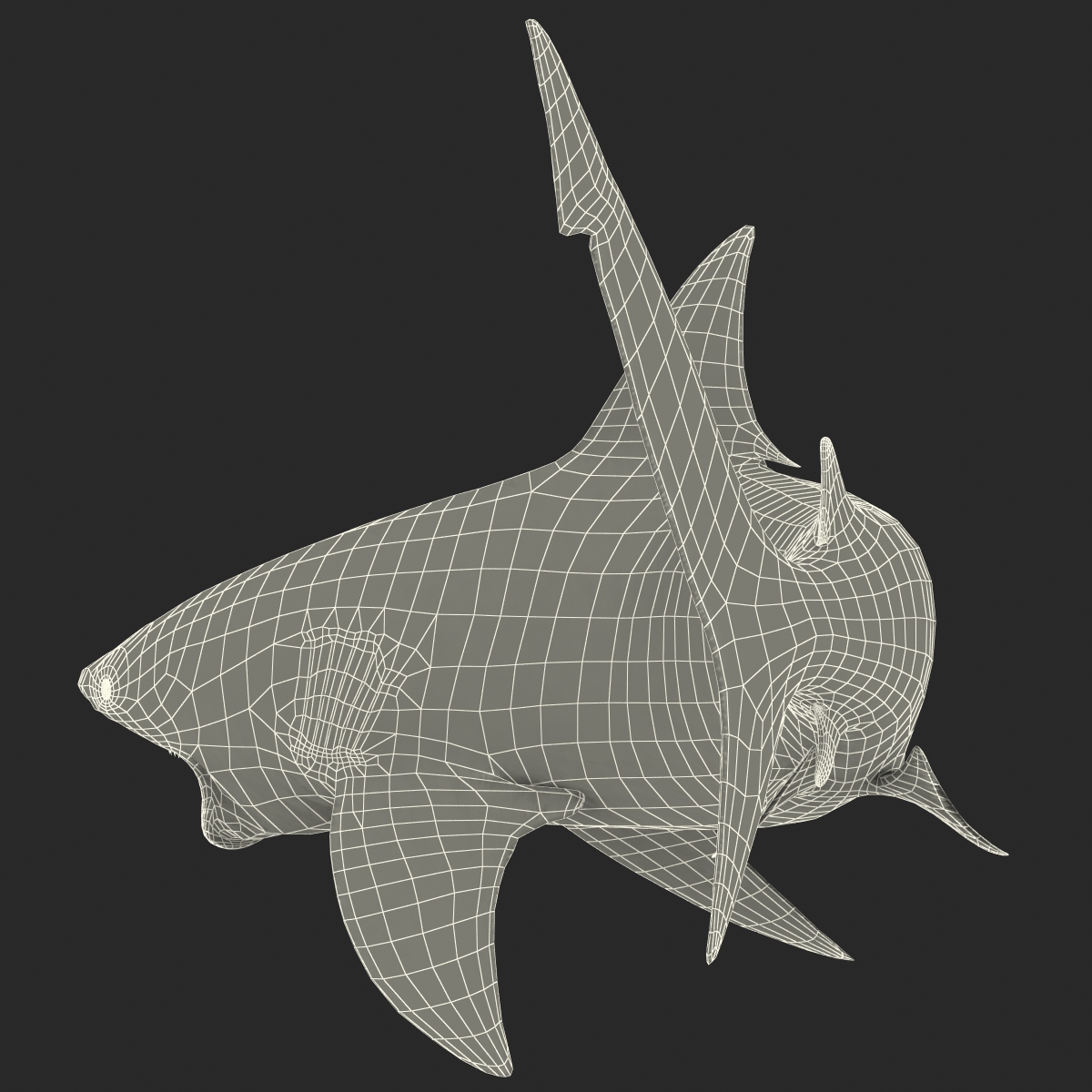 Bull Shark Pose 2 3D