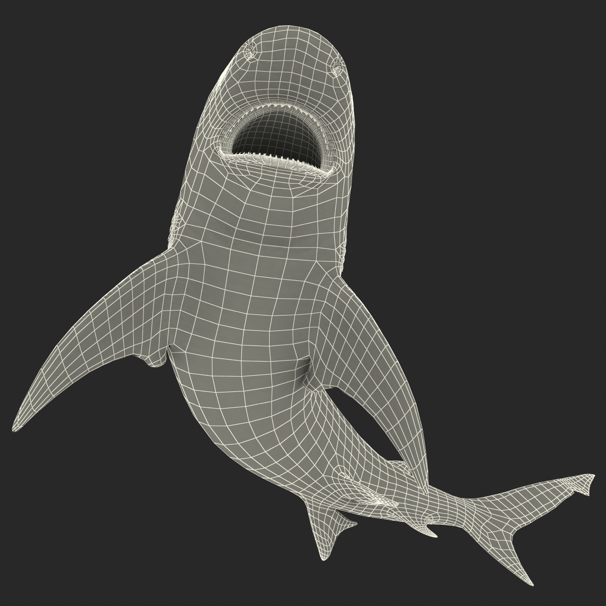 Bull Shark Pose 2 3D