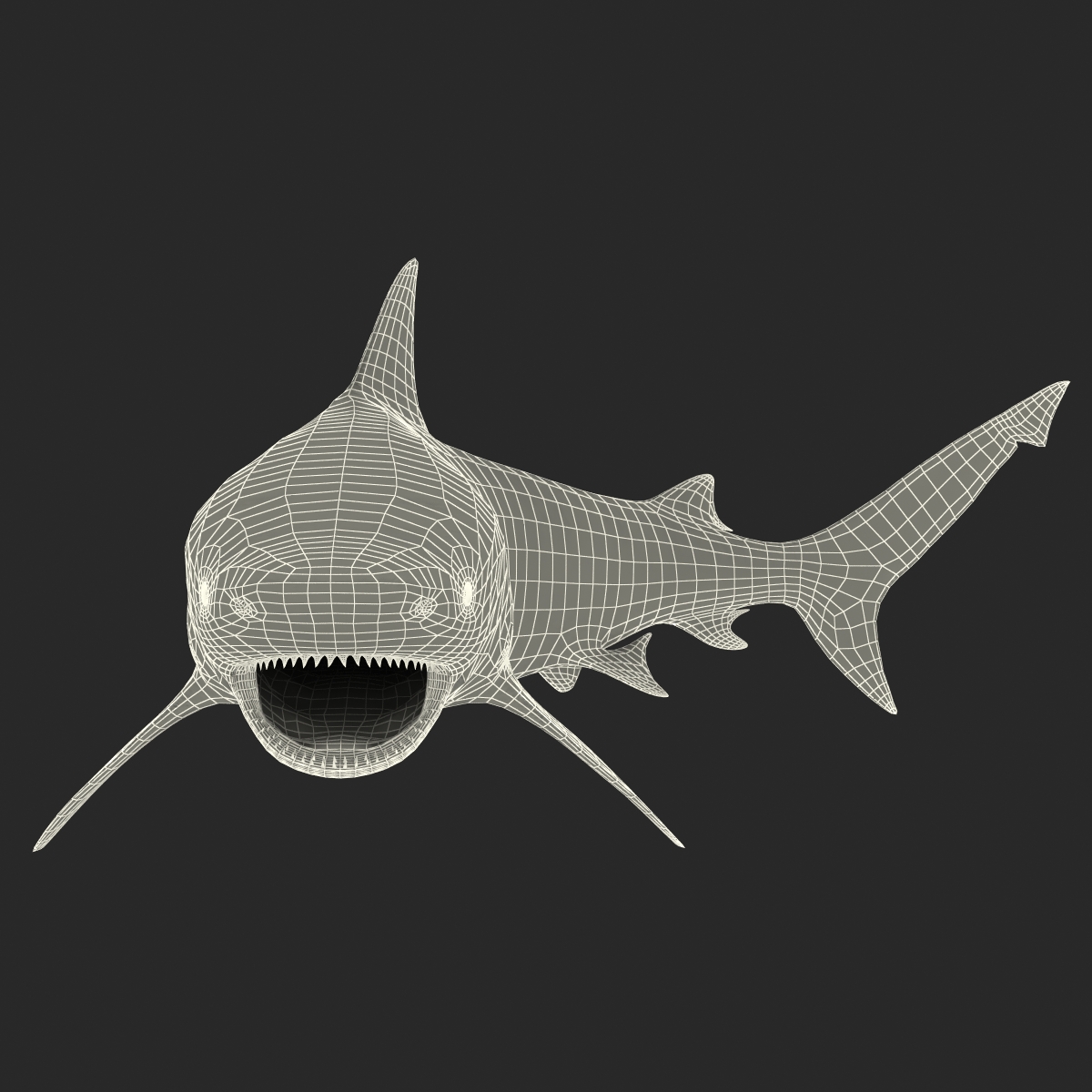 Bull Shark Rigged 3D