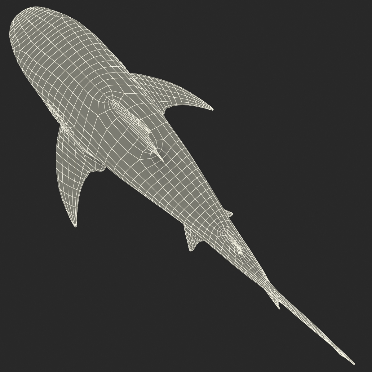 Bull Shark Rigged 3D