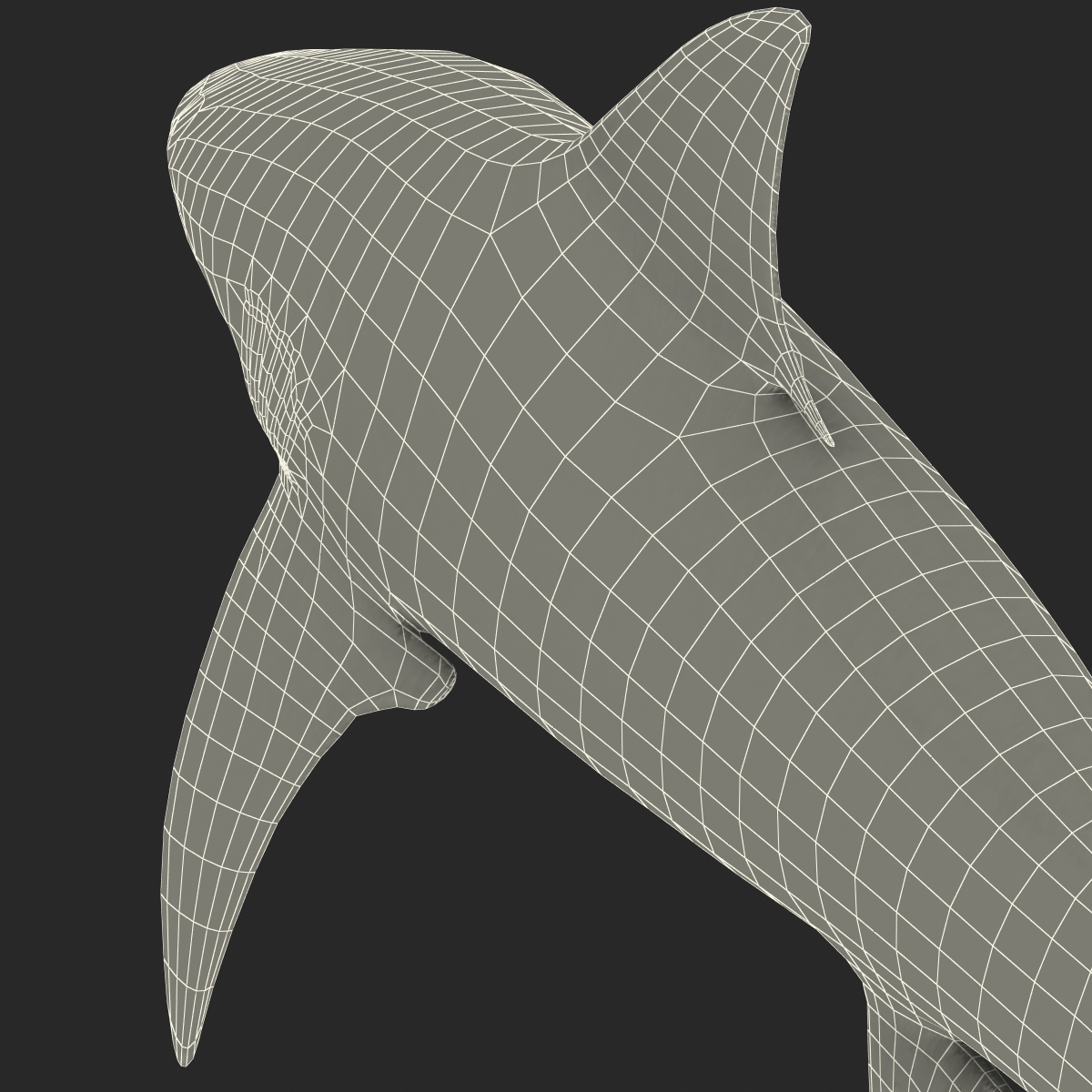 Bull Shark Rigged 3D