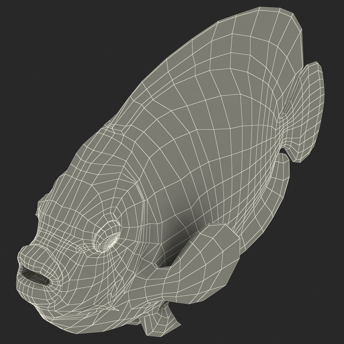 3D Juvenile Emperor Angelfish