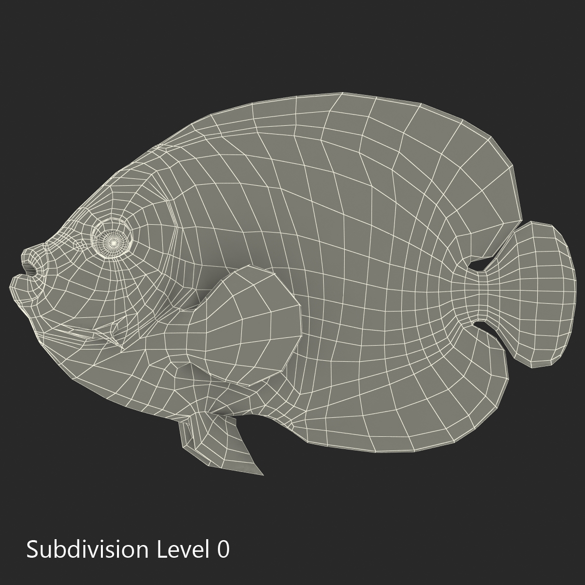 3D Juvenile Emperor Angelfish Rigged model