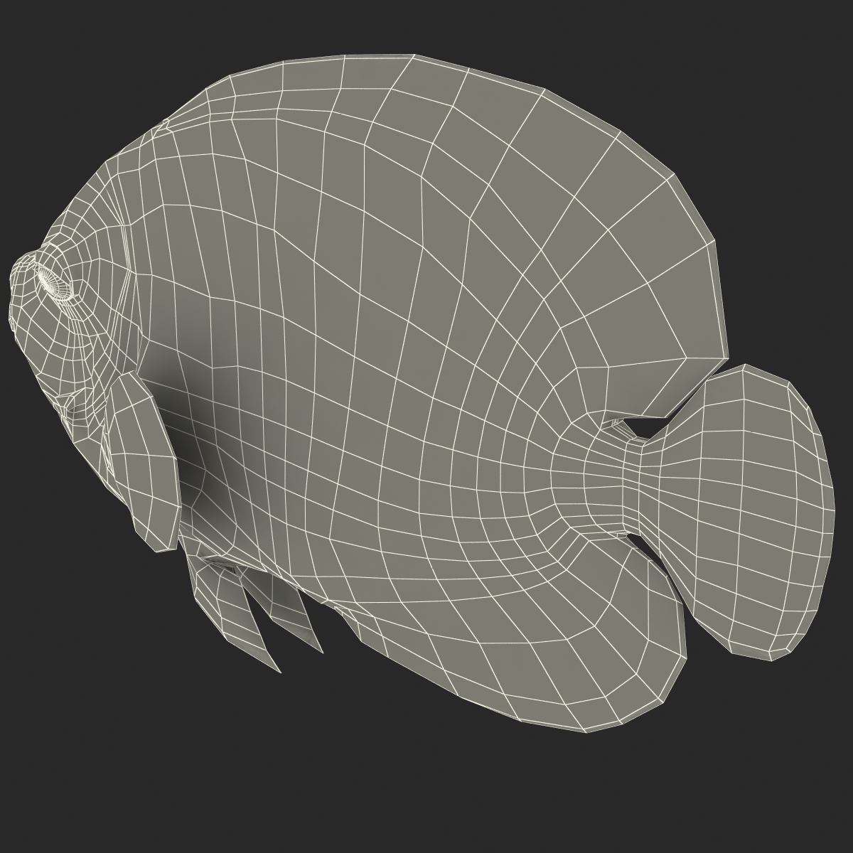 3D Juvenile Emperor Angelfish Rigged model