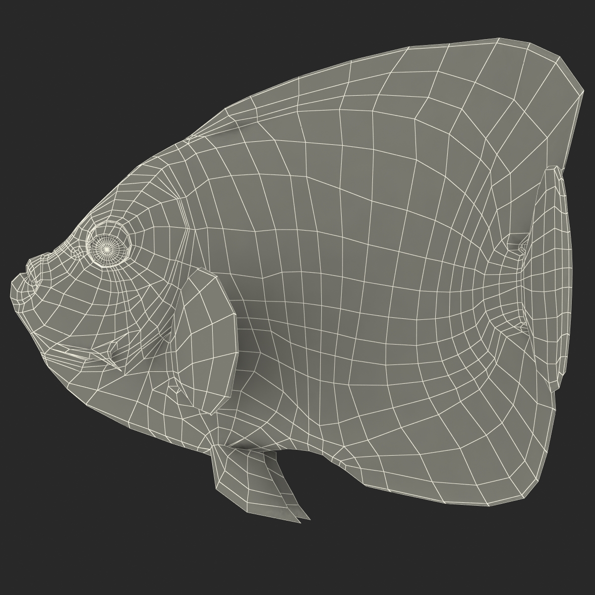 3D Juvenile Emperor Angelfish Rigged model