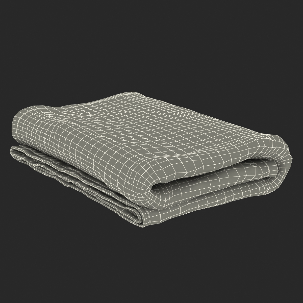 3D model Towel Green with Fur