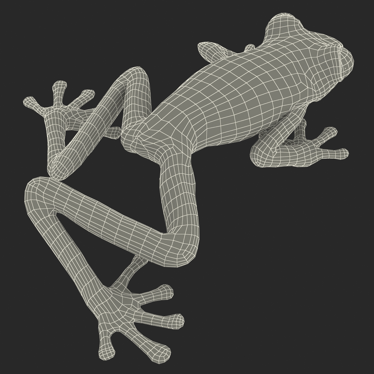 3D model Red Eyed Tree Frog Pose 3