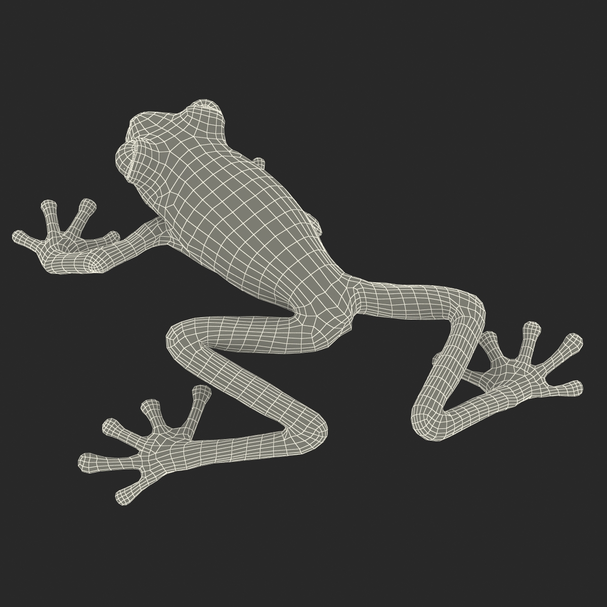 3D model Red Eyed Tree Frog Pose 3