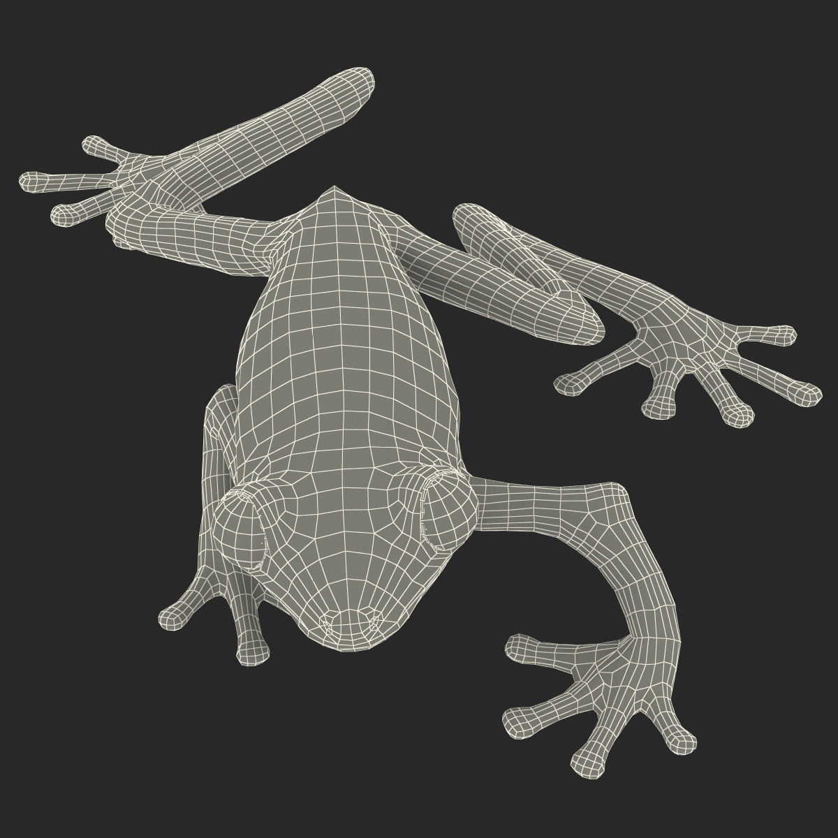 3D model Red Eyed Tree Frog Pose 3