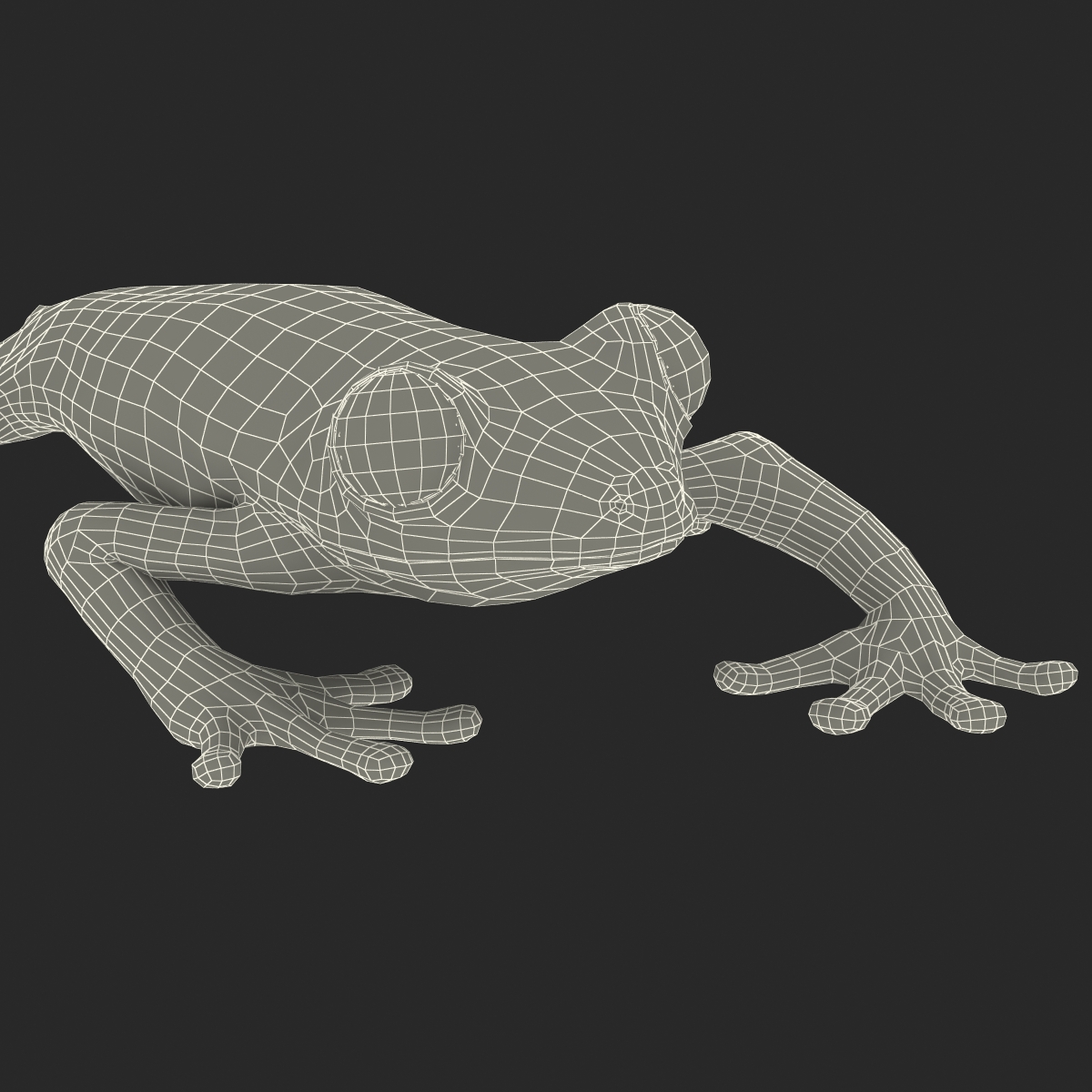 3D model Red Eyed Tree Frog Pose 3