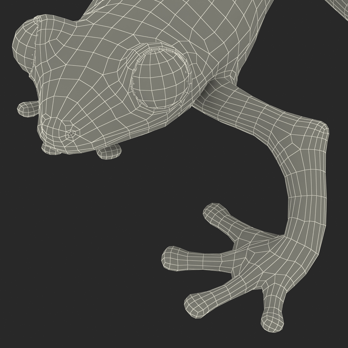 3D model Red Eyed Tree Frog Pose 3