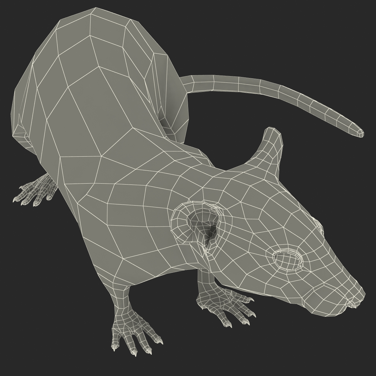 Rat 2 Pose 5 3D