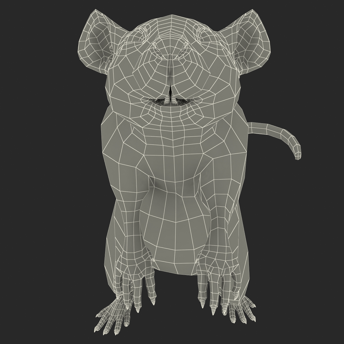 Rat 2 Pose 2 3D