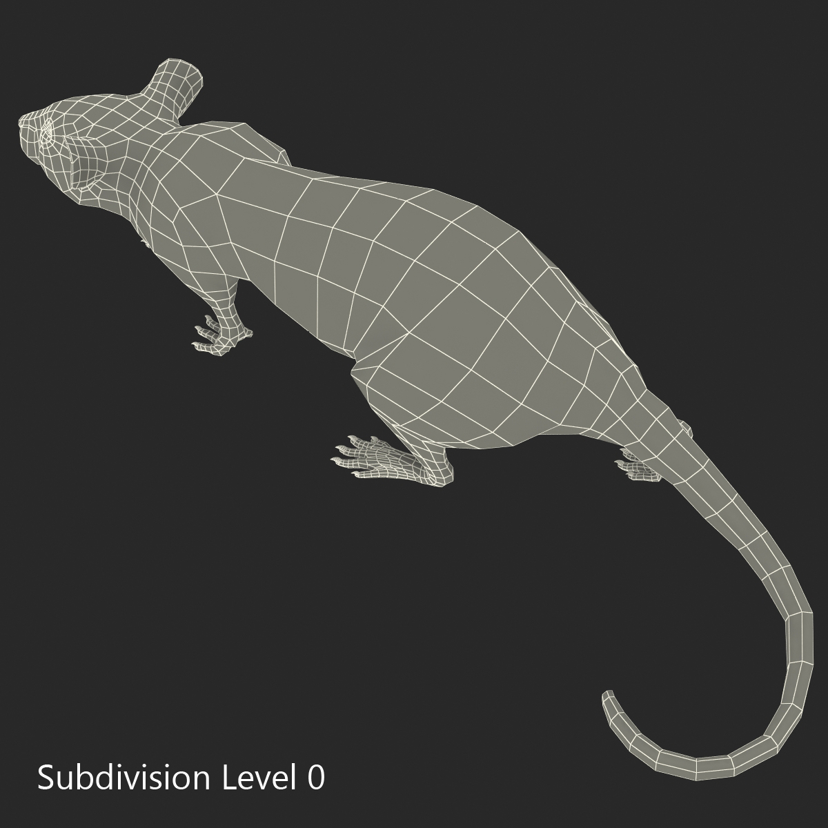 Rat 2 Pose 3 3D