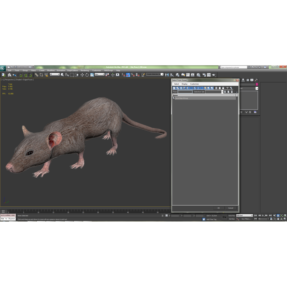 Rat 2 Pose 3 3D