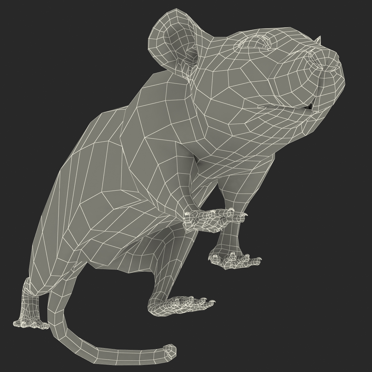 Rat 2 Pose 3 3D