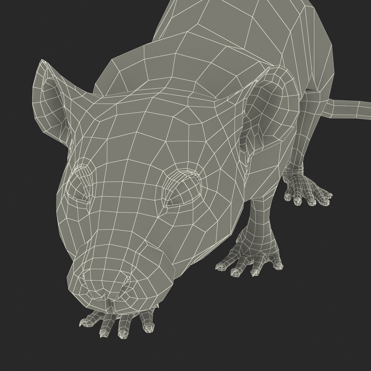 Rat 2 Pose 3 3D