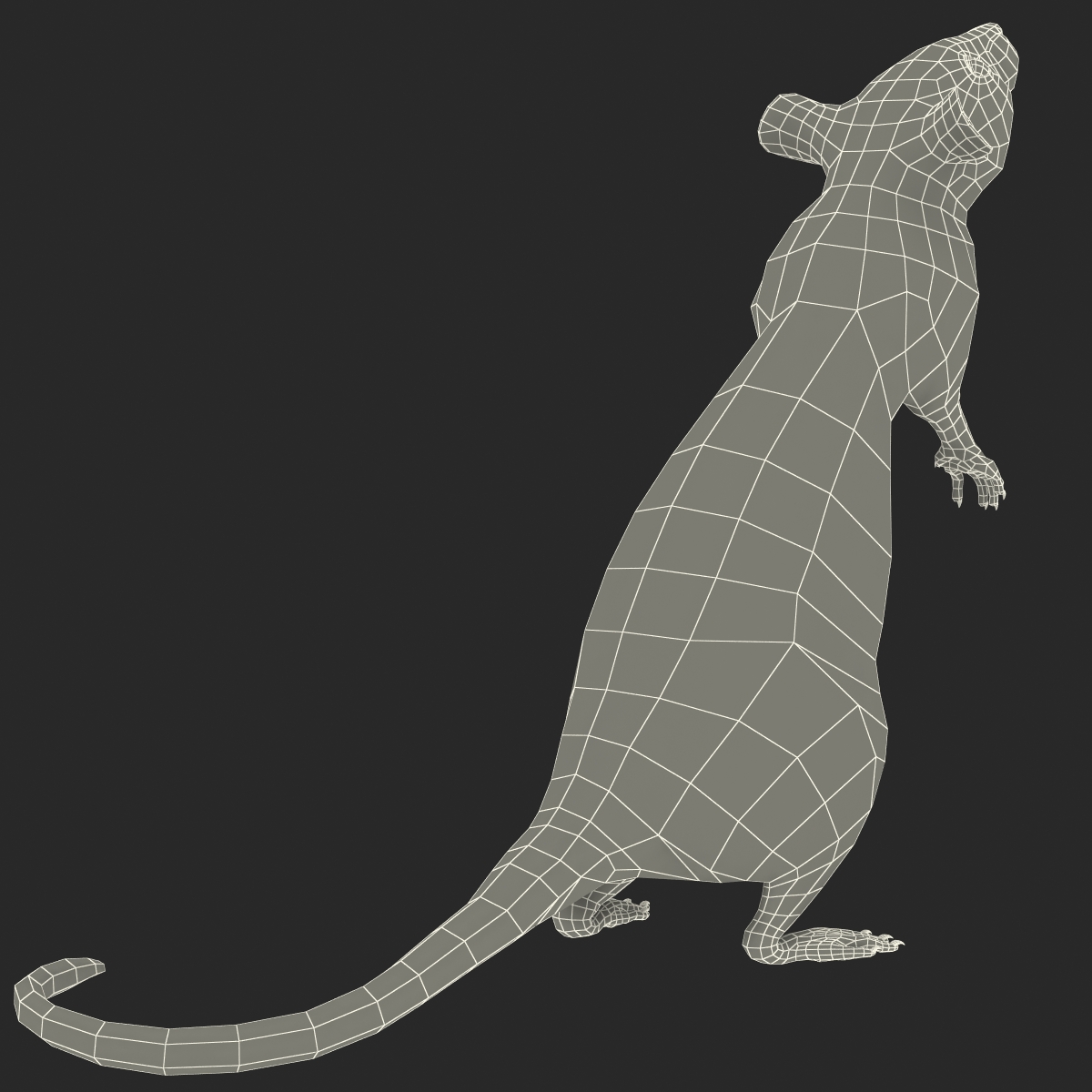 Rat 2 Rigged 3D