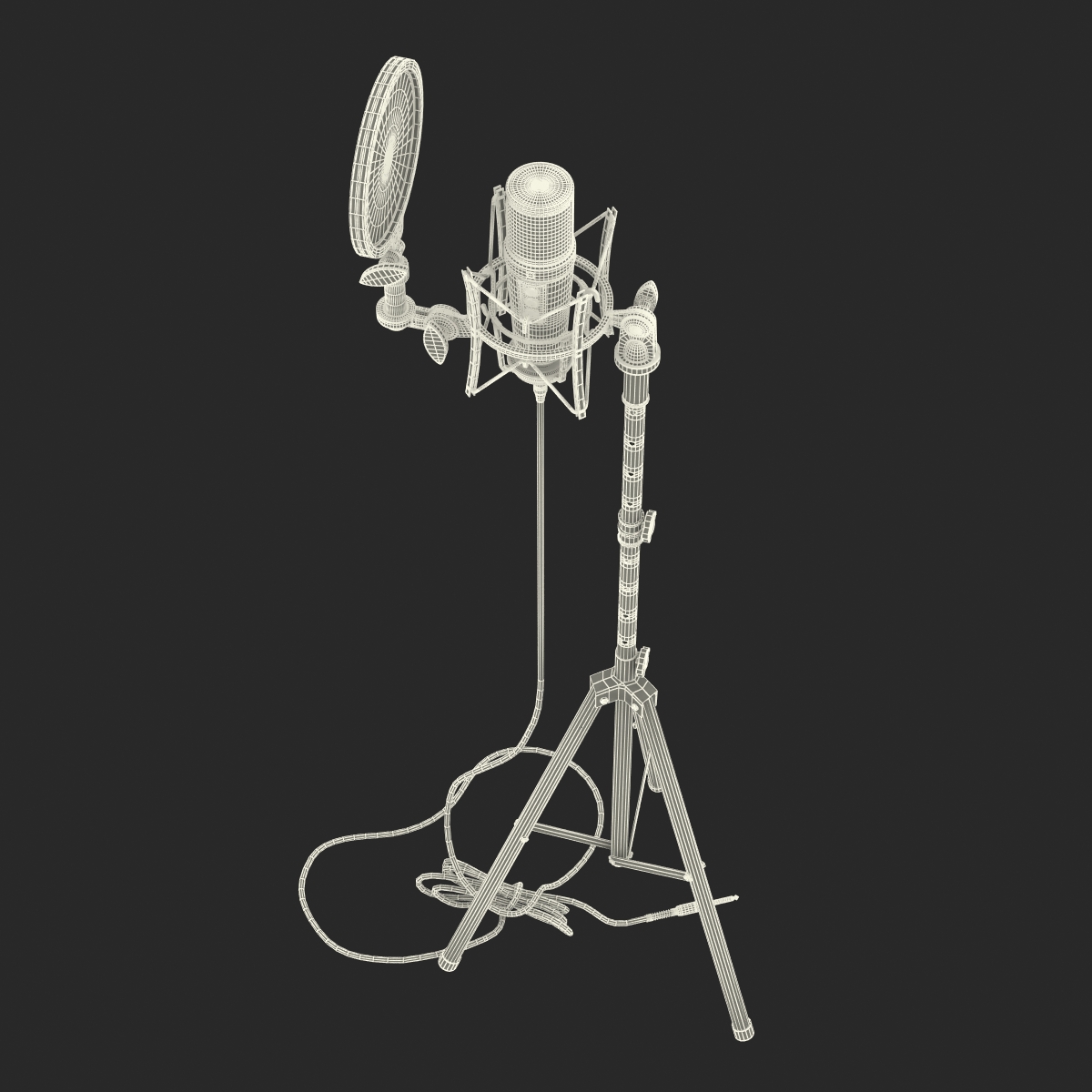 Studio Microphone and Stand 3D