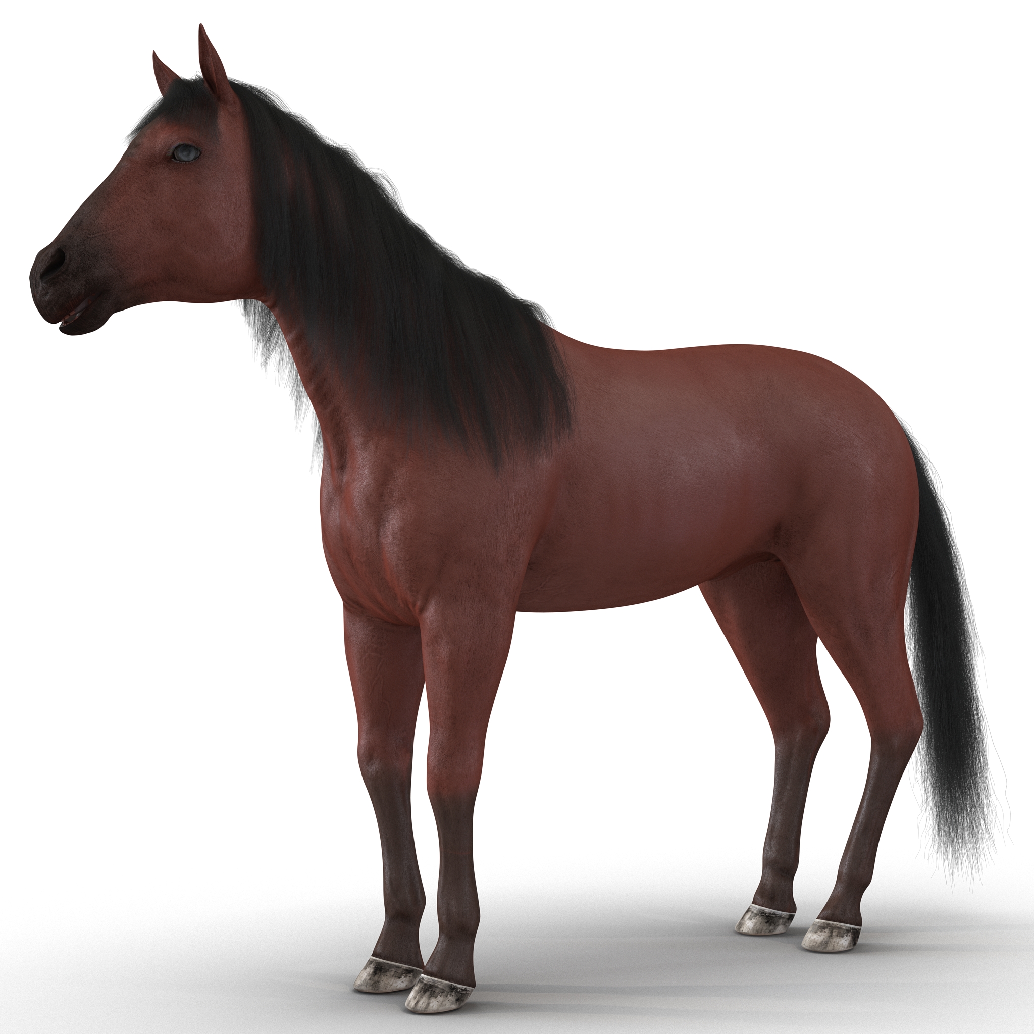 Horse with Fur 3D model