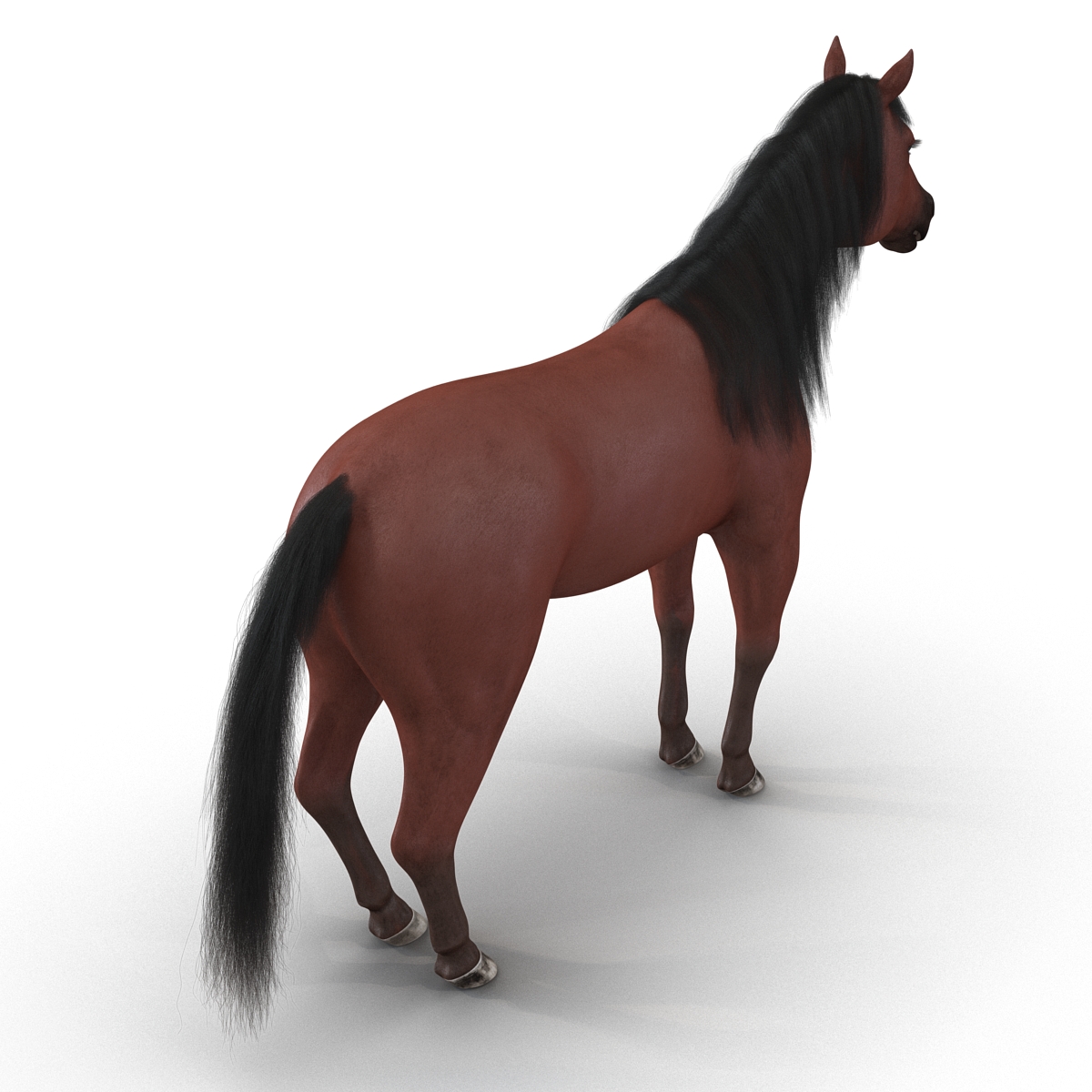 Horse with Fur 3D model